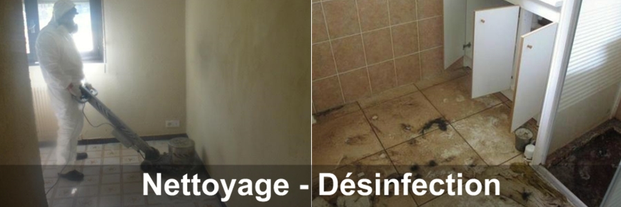 nettoyage de maison insalubre sale